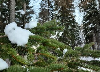 Quale futuro per la montagna senza neve? L’iniziativa “Nevediversa” di Legambiente