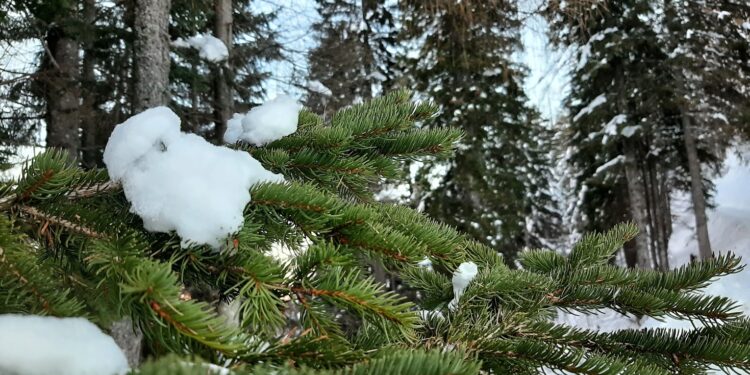 Quale futuro per la montagna senza neve? L’iniziativa “Nevediversa” di Legambiente