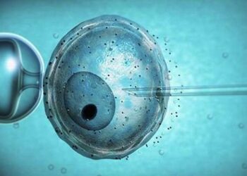 Bambini in provetta o materiale biologico congelato? Buone notizie dall’Alabama