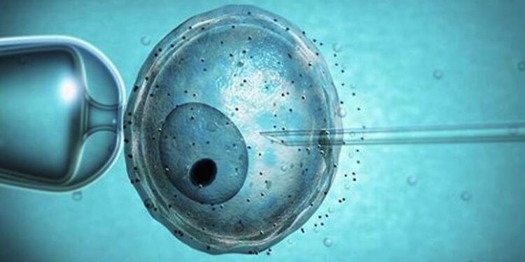 Bambini in provetta o materiale biologico congelato? Buone notizie dall’Alabama