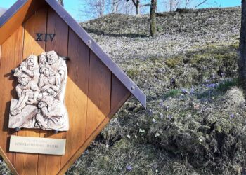 Sofferenza di Maria, sofferenza di Madre