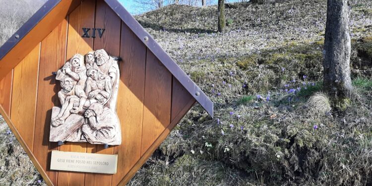 Sofferenza di Maria, sofferenza di Madre
