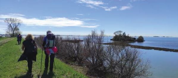 Da Muzzana ad Aquileia, il “Cammino delle Palme”