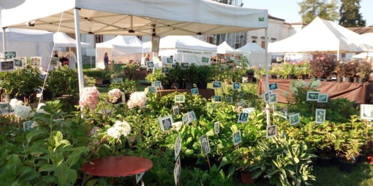 A Villa Manin torna “Nel giardino del Doge”