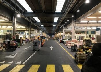 7 milioni per il mercato ortofrutticolo di Udine
