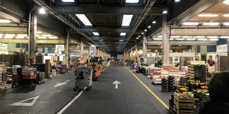 7 milioni per il mercato ortofrutticolo di Udine