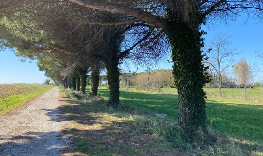 Il progetto “10 mila passi di salute” arriva ad Aquileia