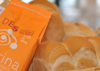 Medio Friuli, Distretto del commercio al via