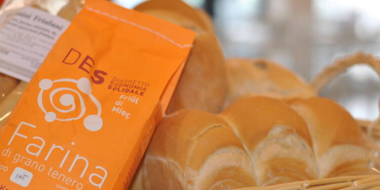 Medio Friuli, Distretto del commercio al via