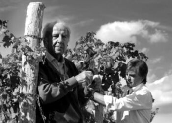 Addio a Felluga, “protagonista del rilancio della viticoltura in Fvg”