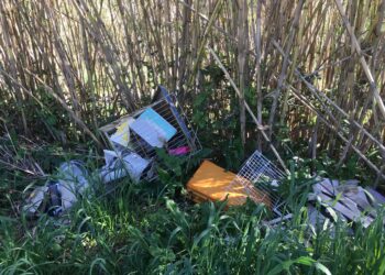 A Mortegliano, le “ecocamminate” per far bene all’ambiente