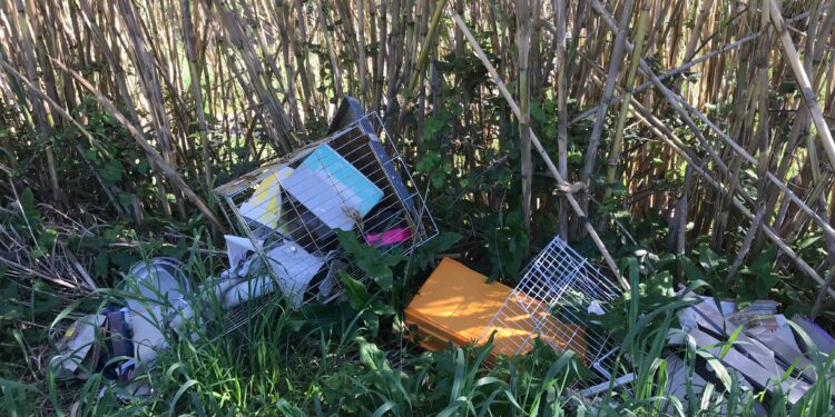 A Mortegliano, le “ecocamminate” per far bene all’ambiente