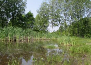 Castions di Strada, un mese di eventi per tutti