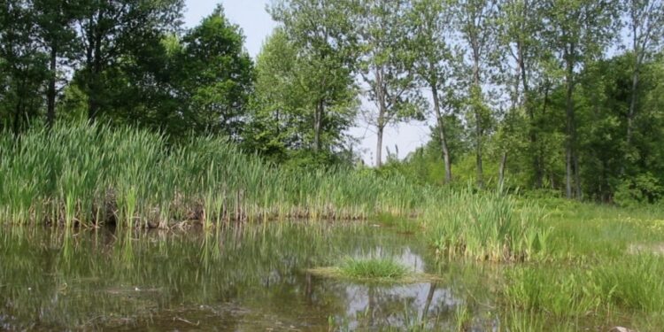 Castions di Strada, un mese di eventi per tutti