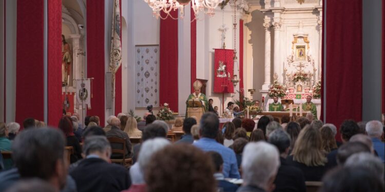 Fiori sbocciati in Diocesi