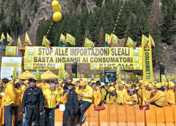 Coldiretti Fvg al Brennero: «Fermare il falso made in Italy»