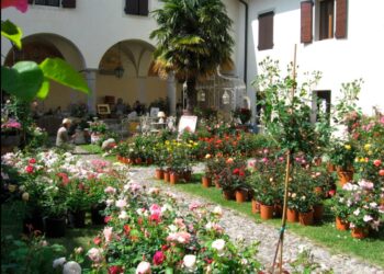 Sabato 4 e domenica 5 maggio torna Rosazzo da Rosa