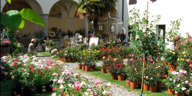 Sabato 4 e domenica 5 maggio torna Rosazzo da Rosa