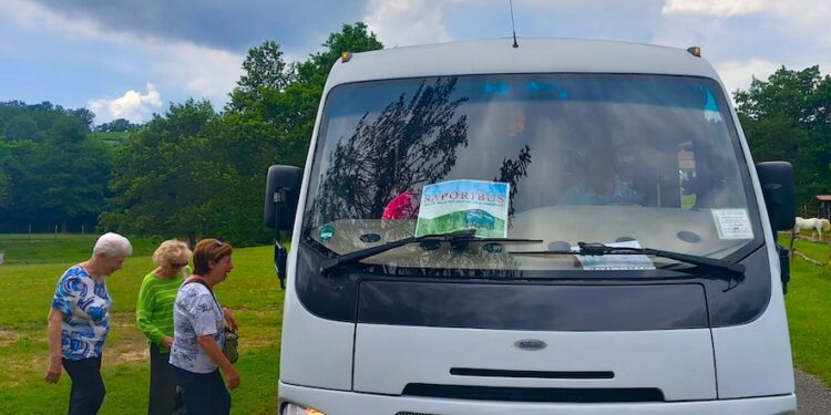 Ad Aquileia arriva Saporibus, tra gusto e storia