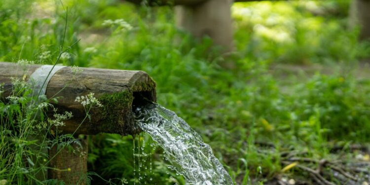 Monitoriamo le sorgenti alpine con il Cai