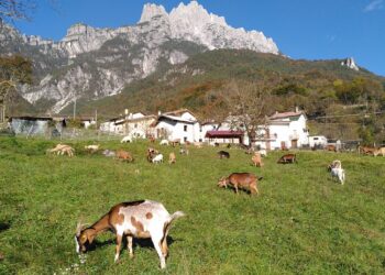 Montagna Fvg, da Legambiente tre bandiere verdi e due nere