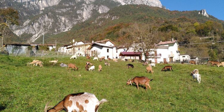Montagna Fvg, da Legambiente tre bandiere verdi e due nere
