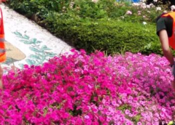 Borse lavoro giovani per l’estate a Tavagnacco