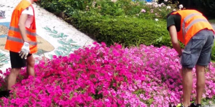 Borse lavoro giovani per l’estate a Tavagnacco