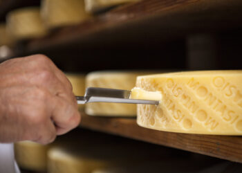 Montasio dop, cresce il formaggio “di nicchia”