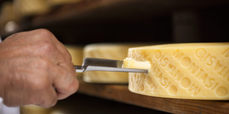 Montasio dop, cresce il formaggio “di nicchia”