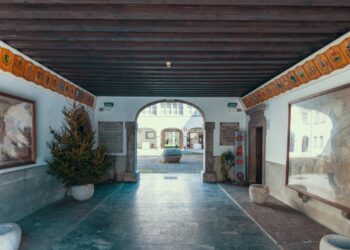 Tolmezzo. Estate ricca di appuntamenti al Museo Gortani