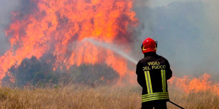 Prevenzione incendi boschivi, contributi per 900 mila euro