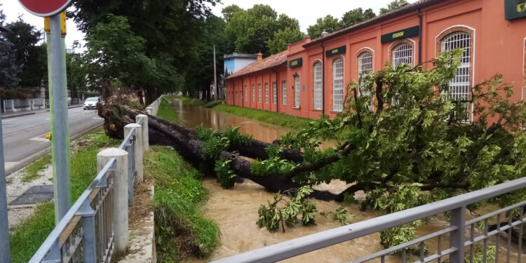 Studio dell’Ape per l’adattamento climatico a Udine