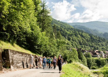 “Estensioni”. Incontri con l’autore, musica, laboratori, passeggiate in Val Pesarina