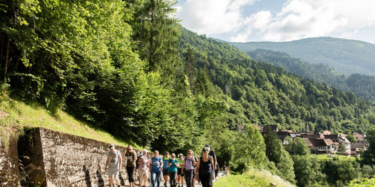 “Estensioni”. Incontri con l’autore, musica, laboratori, passeggiate in Val Pesarina