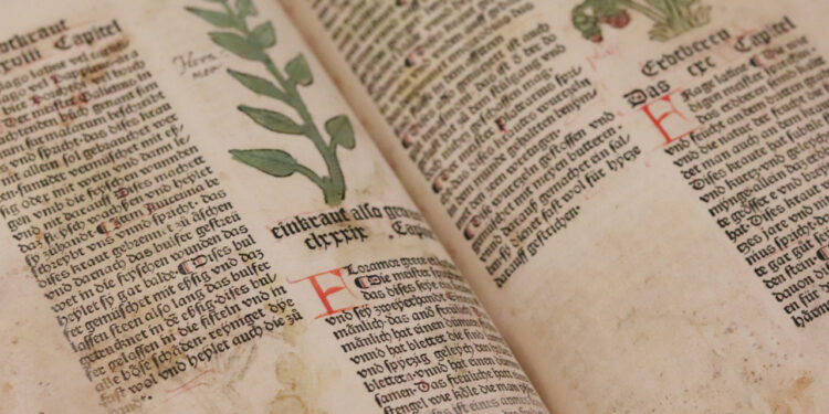 A Tolmezzo il manoscritto “più misterioso al mondo”, decifrato dopo 600 anni