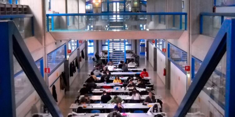 Università di Udine sempre più sostenibile. In arrivo incentivi ai dipendenti che usano la bici