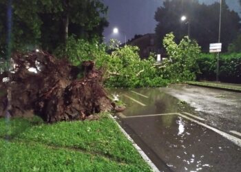 Maltempo, attesi ancora rovesci e temporali