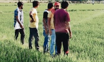 Caporalato. Schiavi del lavoro anche in Friuli, a 4 euro l’ora