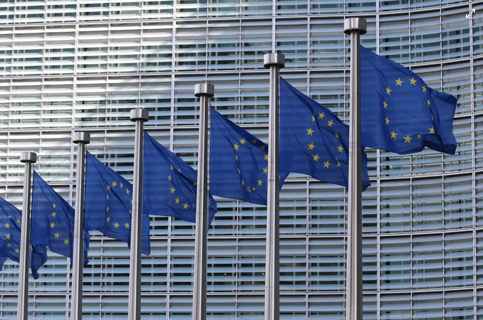 Come sono andate le elezioni europee? | La Vita Cattolica