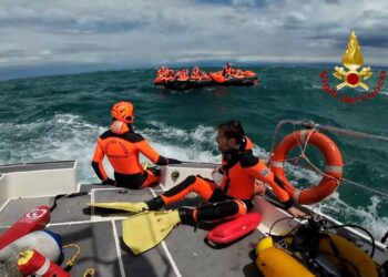 Audace, Fedriga: «Fare subito chiarezza sulle cause dell’incidente»