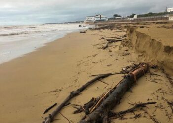 Lignano. Progetto pilota con l’Università di Udine per salvare la spiaggia dalle mareggiate
