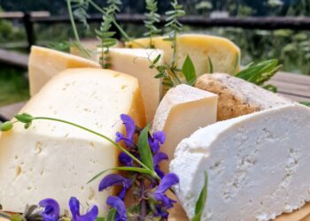 Tolmezzo, al Museo Gortani i sapori della tradizione