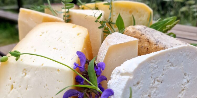 Tolmezzo, al Museo Gortani i sapori della tradizione