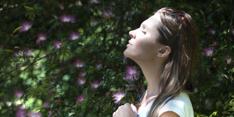 In Friuli qualità dell’aria buona