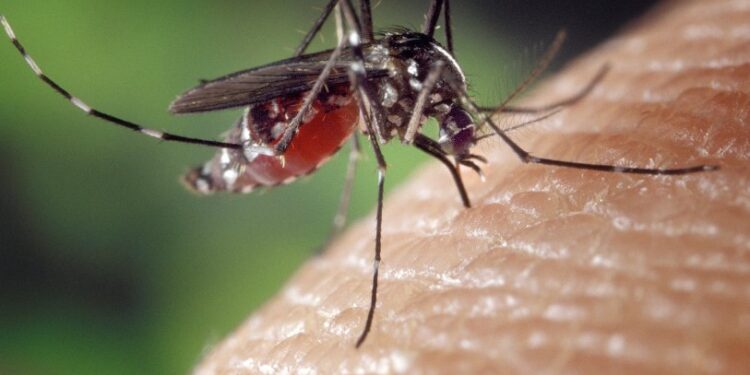 Deceduta l’anziana affetta da West Nile