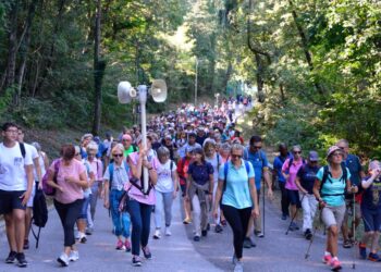 Conto alla rovescia per il pellegrinaggio diocesano a Castelmonte