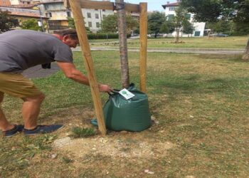A Udine un nuovo sistema di irrigazione pubblica ottimizza e riduce l’acqua
