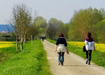 Le “Passeggiate della salute” ripartono da Fagagna. Appuntamenti in tutto il Friuli