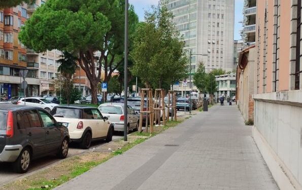 «Riportare il verde in via Leopardi. E più pulizia».
